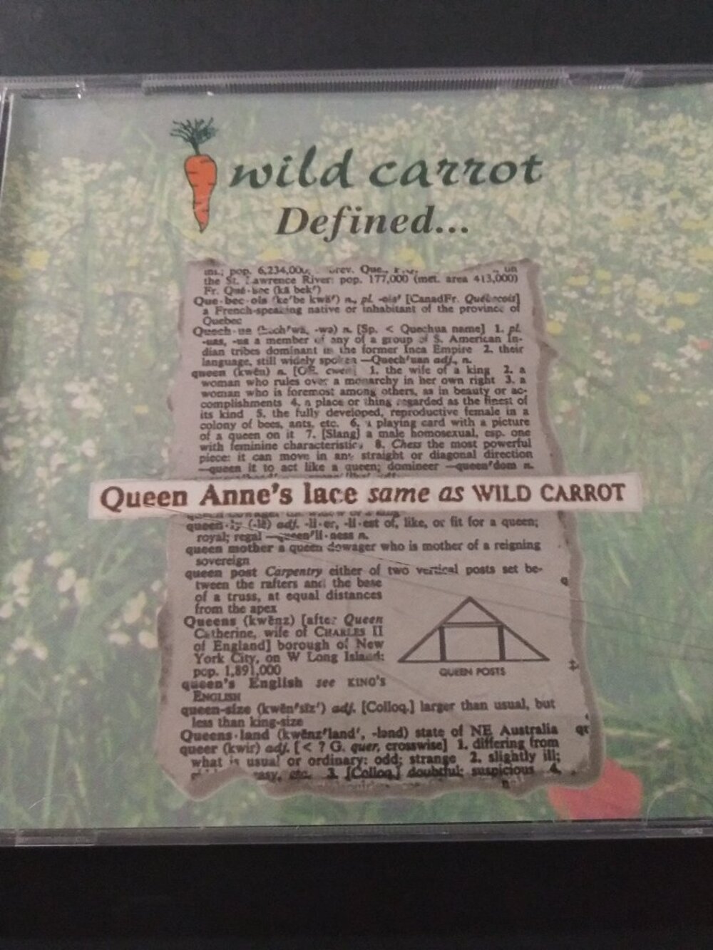 Wild Carrot – Defined... VG+ Original 1990's OUT OF PRINT CD WNKU NKY FOLK
